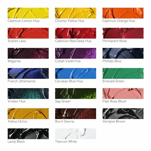 Winsor & Newton Winton Oil Color Paint Set